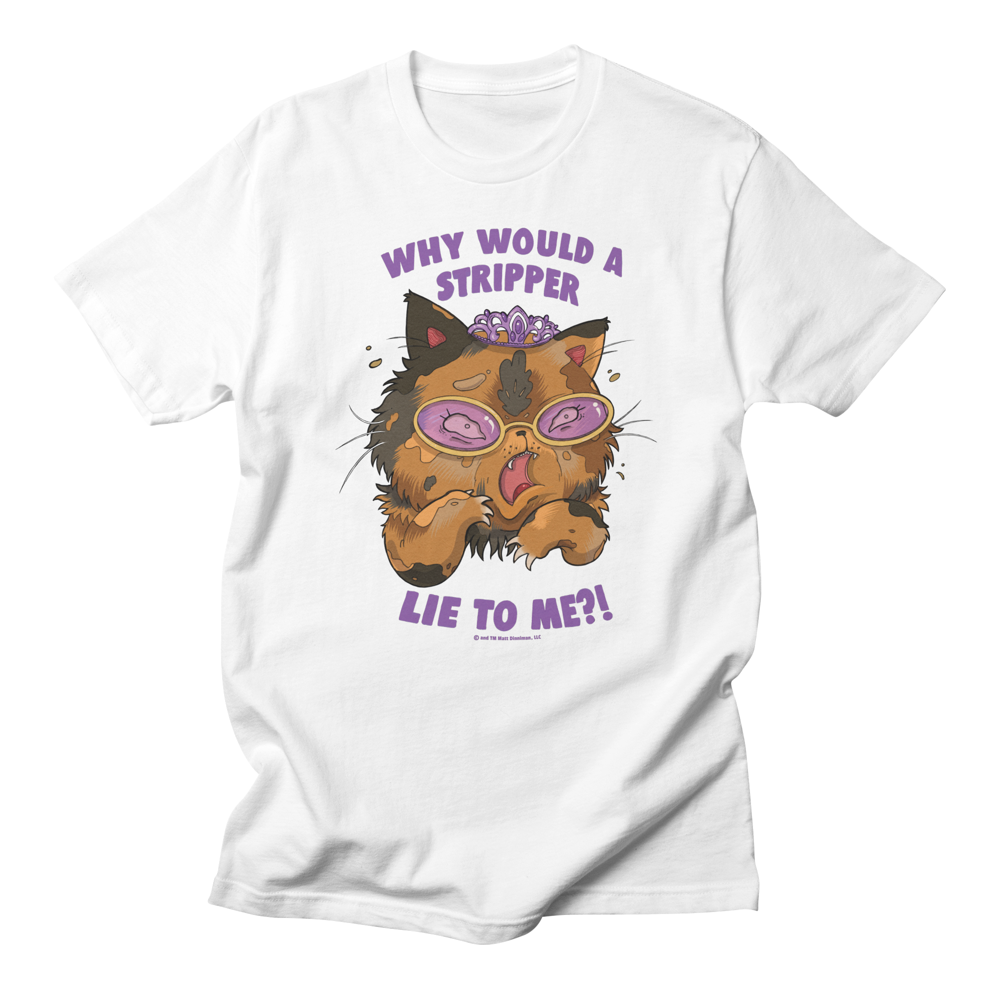 Why Would a Stripper Lie to me?! Regular T-Shirt
