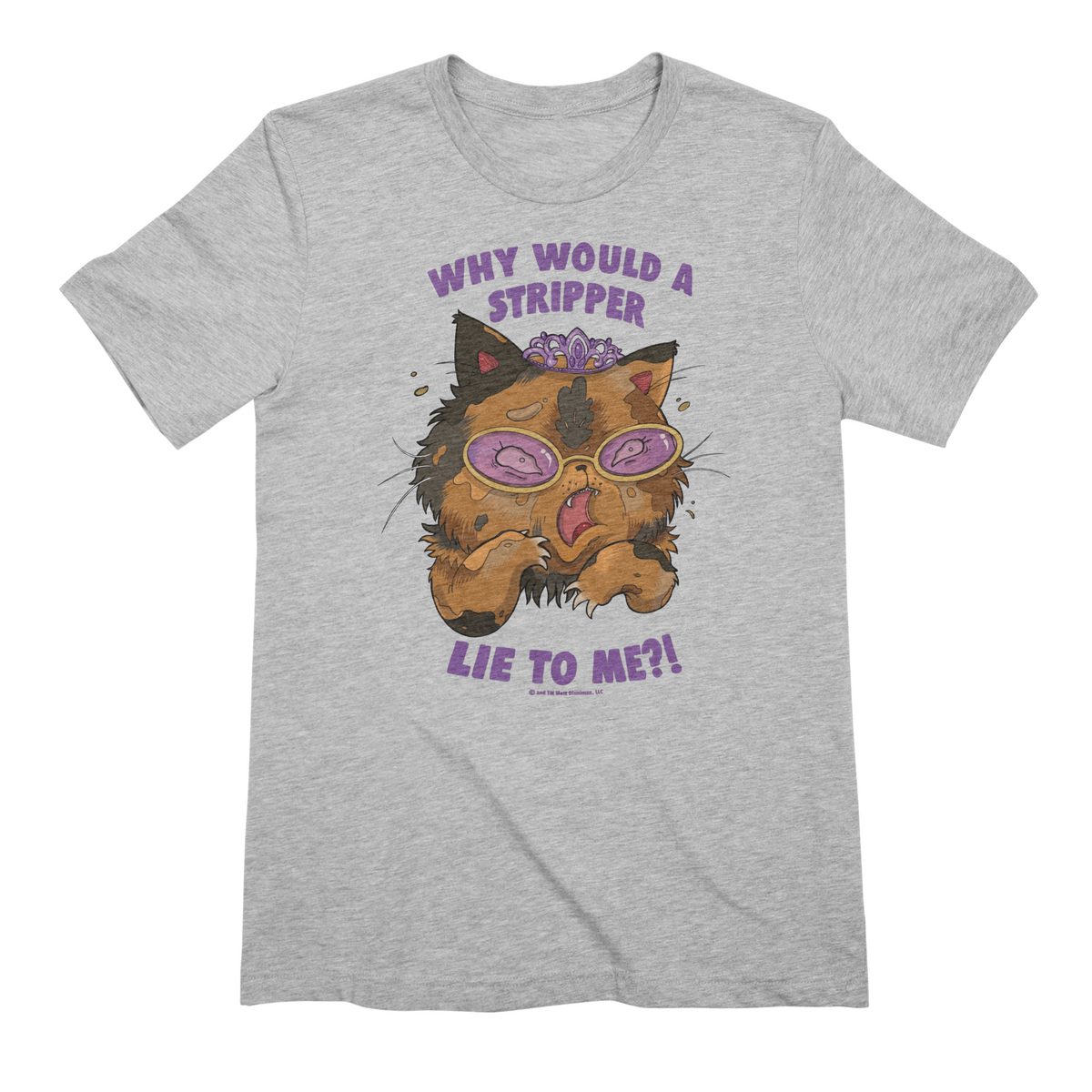 Why Would a Stripper Lie to me?! Extra Soft T-Shirt