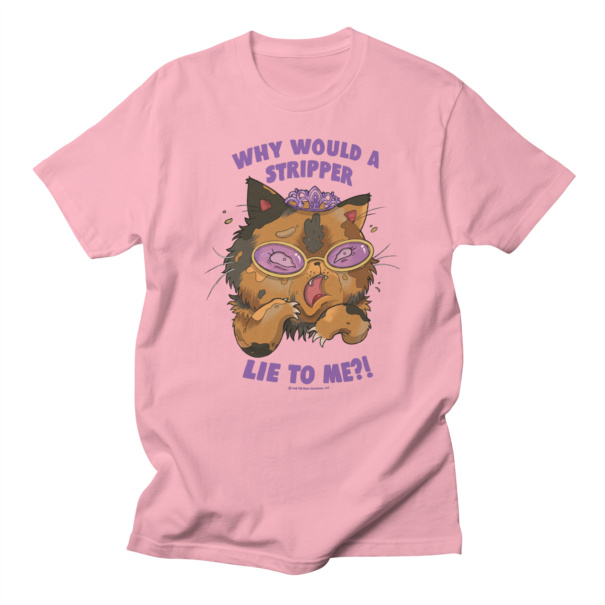 Why Would a Stripper Lie to me?! Regular T-Shirt