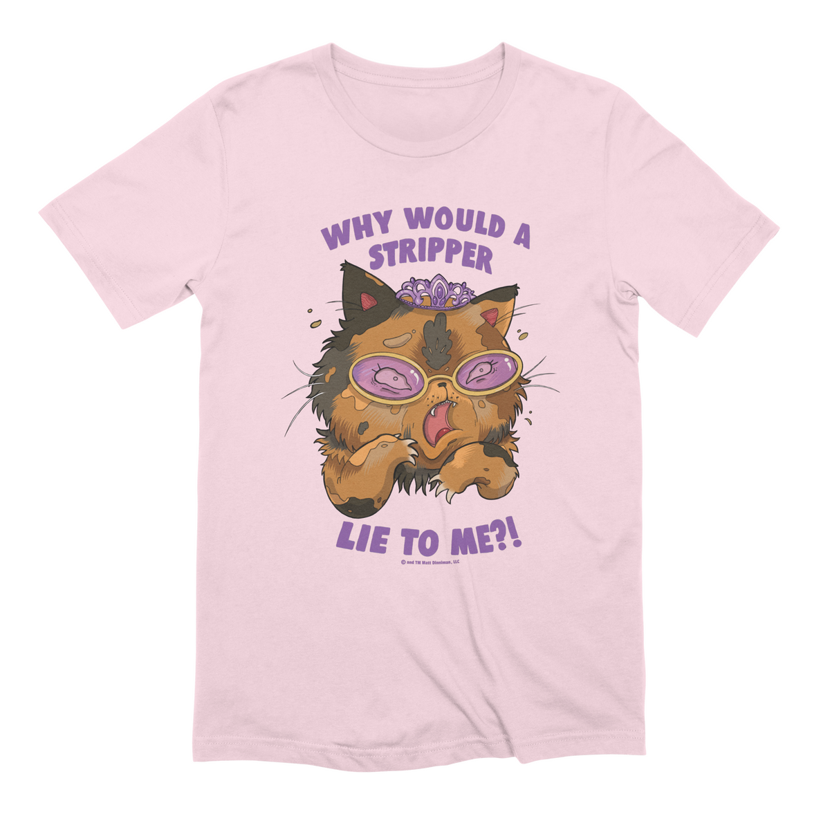 Why Would a Stripper Lie to me?! Extra Soft T-Shirt