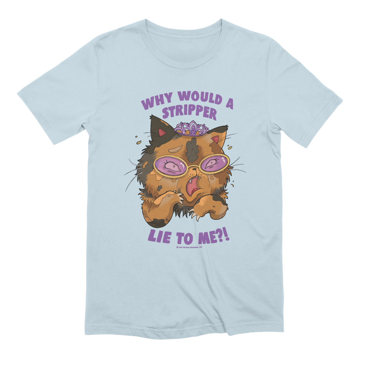 Why Would a Stripper Lie to me?! Extra Soft T-Shirt