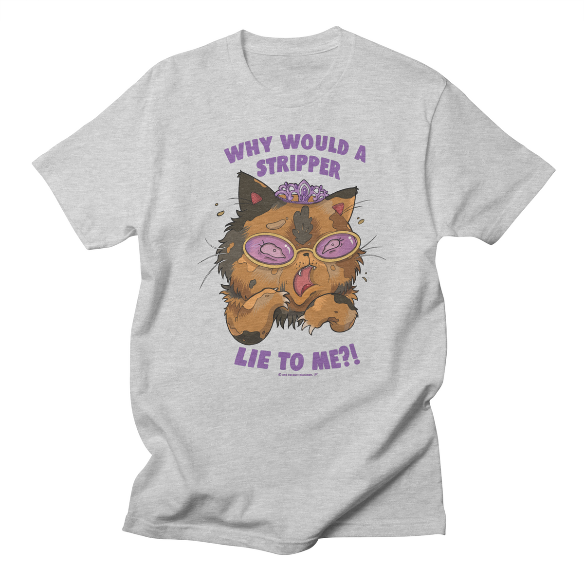 Why Would a Stripper Lie to me?! Regular T-Shirt