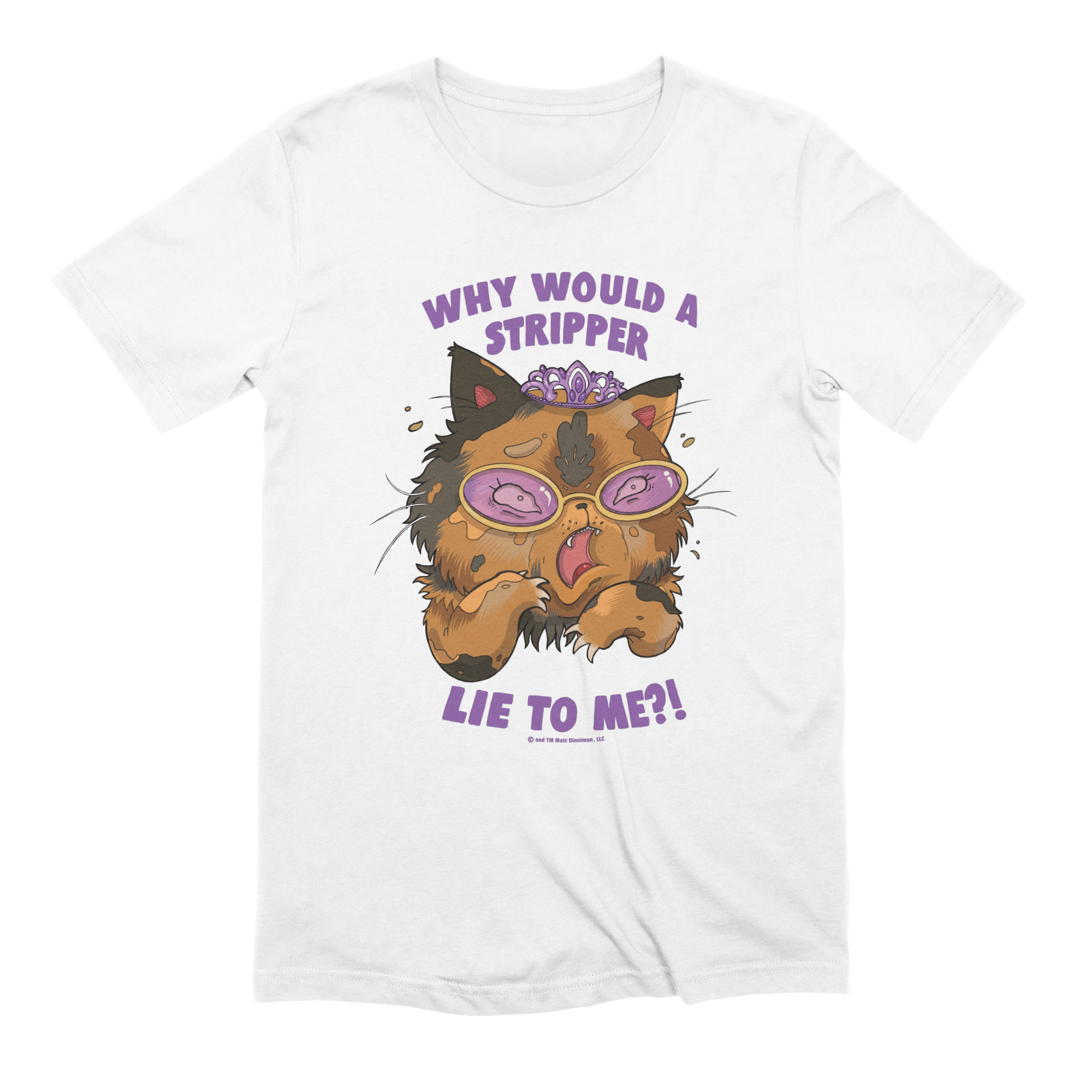 Why Would a Stripper Lie to me?! Extra Soft T-Shirt