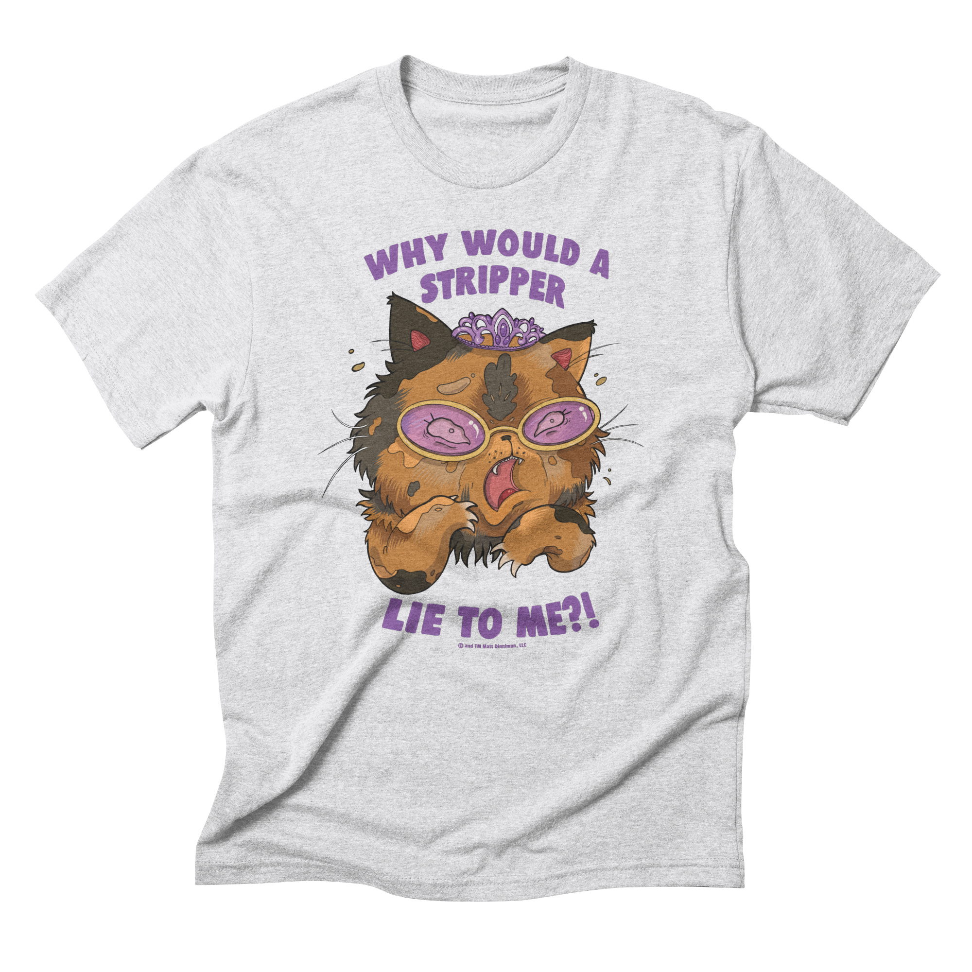 Why Would a Stripper Lie to me?! Triblend T-Shirt
