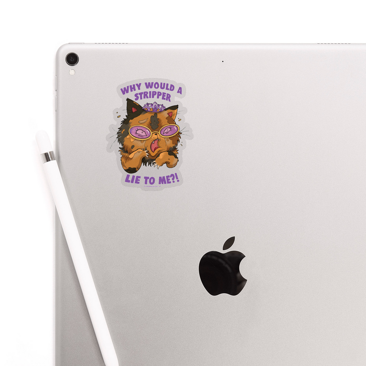 Why Would a Stripper Lie to me?! Sticker