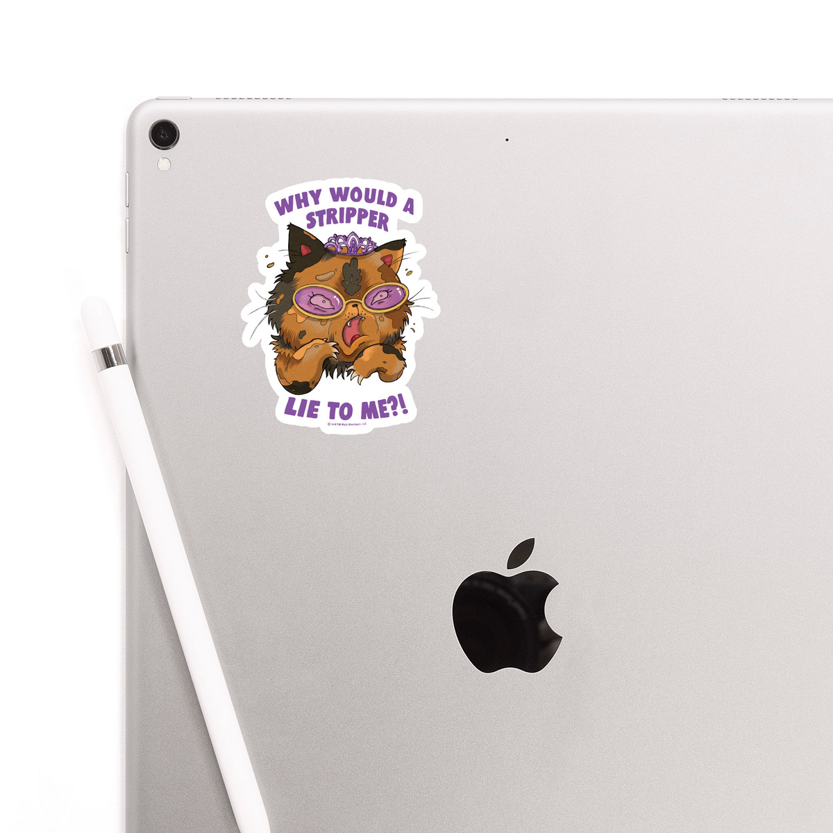 Why Would a Stripper Lie to me?! Sticker
