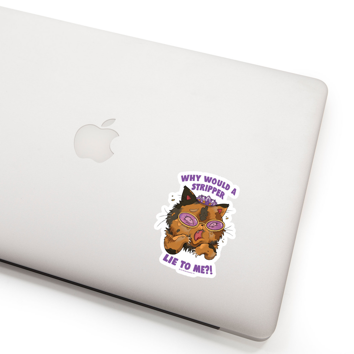 Why Would a Stripper Lie to me?! Sticker